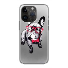 Чехол (ТПУ) Милые собачки для iPhone 14 Pro (Бульдог в очках)