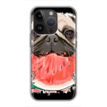 Чехол (ТПУ) Милые собачки для iPhone 14 Pro (Смешной Мопс)