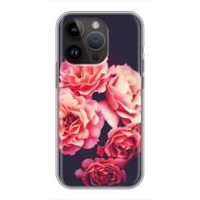 Чехлы с тематикой "ЦВЕТЫ" на iPhone 14 Pro (Бутоны)