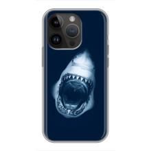 Силіконовий бампер з картинкою звірів для iPhone 14 Pro (Пащу Акули)