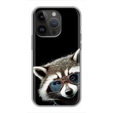 Силіконовий Чохол з Энотами  на iPhone 14 Pro (Стильний Єнот)