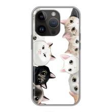 Силіконовий чохол з котиком для iPhone 14 Pro (Коти)