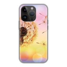 Силіконовий Чохол з кульбабками на iPhone 14 Pro (Квітка-кульбаба)