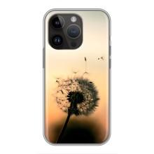 Силіконовий Чохол з кульбабками на iPhone 14 Pro (Роздмухана кульбабка)