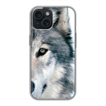 Чехлы с картинками животных iPhone 14 (Волк)