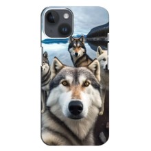 Чехол с Хаски для iPhone 14 - (AlphaPrint) (Селфи ХАски)