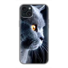 Чехлы с Котиками для iPhone 14 Plus (VPrint) (Серый Кот)