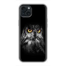 Чохли з принтом СОВИ для iPhone 14 Plus – Сова на чорному