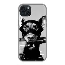 Чехол ДОБЕРМАН для iPhone 14 Plus – Опасный доберман