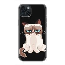 Чохол на тематику: Коти для iPhone 14 Plus – Погляд кота