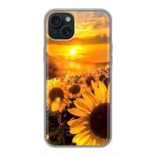 Чехол с Цветами для iPhone 14 Plus (поле подсолнухов)