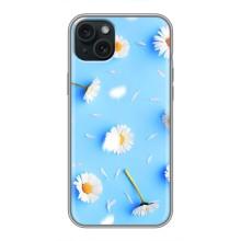 Чехол с Цветами для iPhone 14 Plus (ромашки на голубом)