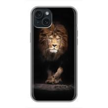 Чехол с картинкой на iPhone 14 Plus – Красивый Лев