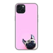 Бампер для iPhone 14 Plus с картинкой "Песики" – Собака на розовом
