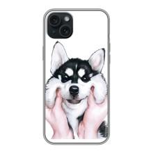 Бампер для iPhone 14 Plus с картинкой "Песики" – Собака Хаски
