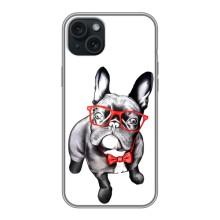 Бампер для iPhone 14 Plus с картинкой "Песики" – В очках