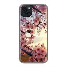 Чохол з картинкою Сакури на iPhone 14 Plus – Квітуча сакура
