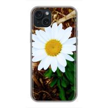 Чохол з ромашками на iPhone 14 Plus – Біла ромашка
