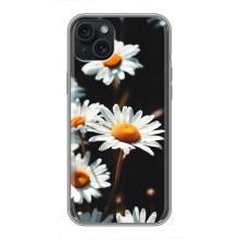 Чохол з ромашками на iPhone 14 Plus – Білі ромашки