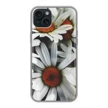 Чохол з ромашками на iPhone 14 Plus – Квіти Ромашки