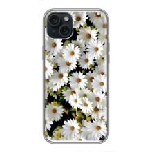 Чохол з ромашками на iPhone 14 Plus – Рамка в ромашках