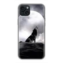 Чехол с Волком на iPhone 14 Plus – Волк и луна
