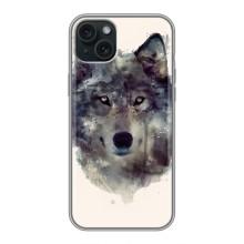 Чехол с Волком на iPhone 14 Plus – Волк