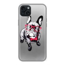 Чехол (ТПУ) Милые собачки для iPhone 14 Plus – Бульдог в очках