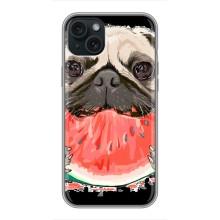 Чехол (ТПУ) Милые собачки для iPhone 14 Plus – Смешной Мопс