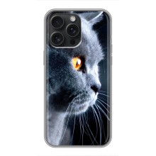 Чехлы с Котиками для iPhone 15 Pro Max (VPrint) (Серый Кот)