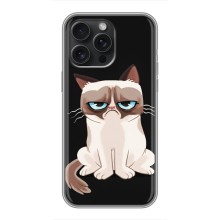 Чехол на тематику: Коты для iPhone 15 Pro Max (Взгляд кота)