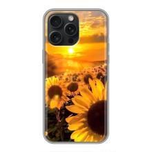 Чехол с Цветами для iPhone 15 Pro Max (поле подсолнухов)