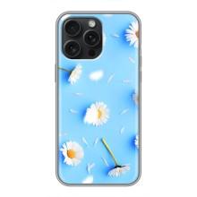 Чехол с Цветами для iPhone 15 Pro Max (ромашки на голубом)