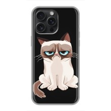 Чехол с принтом для iPhone 15 Pro Max (AlphaPrint) Модные коты – Грустный кот