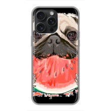 Чохол (ТПУ) Милі песики для iPhone 15 Pro Max (Смішний Мопс)