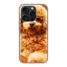 Чохли з собаками для iPhone 15 Pro (VPrint) (Цуценя Бішон)