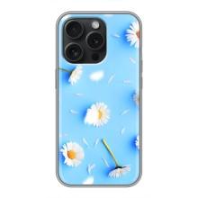 Чехол с Цветами для iPhone 15 Pro (ромашки на голубом)