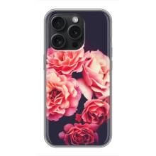 Чехлы с тематикой "ЦВЕТЫ" на iPhone 15 Pro (Бутоны)