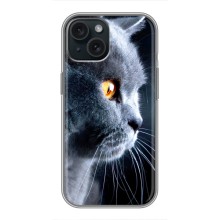 Чехлы с Котиками для iPhone 15 (VPrint) – Серый Кот