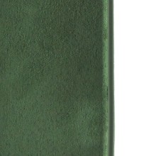 Чехол Silicone Case Full Camera Protective (AA) для Apple iPhone 16 Plus (6.7") – Зеленый
