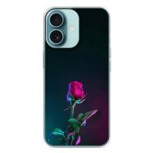 Чохли з принтом Троянд для iPhone 16 Plus – Нічна троянда