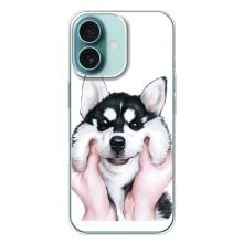 Бампер для iPhone 16 Plus с картинкой "Песики" – Собака Хаски