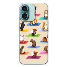 Чехол с Прикольным принтом на iPhone 16 Plus – Ёга свинок