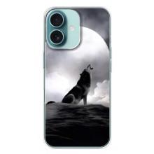 Чехол с Волком на iPhone 16 Plus – Волк и луна
