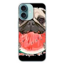 Чехол (ТПУ) Милые собачки для iPhone 16 Plus – Смешной Мопс