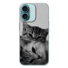 Чохол з малюнком кіт на iPhone 16 Plus (Пара котів)