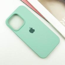 Чехол Silicone Case Full Protective (AA) для Apple iPhone 16 Pro Max (6.9") – Бирюзовый