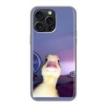Бампер з принтом Меми для iPhone 16 Pro Max – Качка