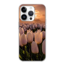 Чехлы с картинкой (Тюльпаны) на Айфон 16 Про Макс – Закат с цветами