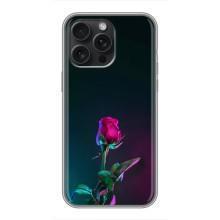 Чехлы с принтом Розочки для iPhone 16 Pro Max – Ночная роза